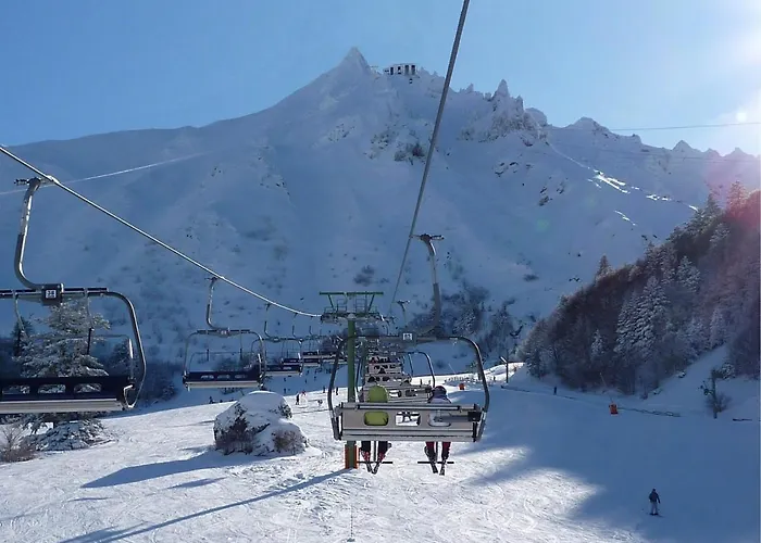 Mont-dore Centre - T2 Bis Avec Wifi - Fr-1-608-47 *