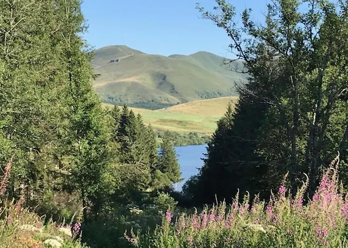 Apartment Mont-dore Centre - T2 Bis Avec Wifi - Fr-1-608-47 Le Mont-Dore