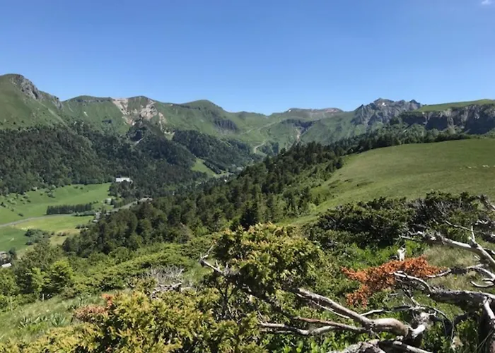 Apartment Mont-dore Centre - T2 Bis Avec Wifi - Fr-1-608-47 *