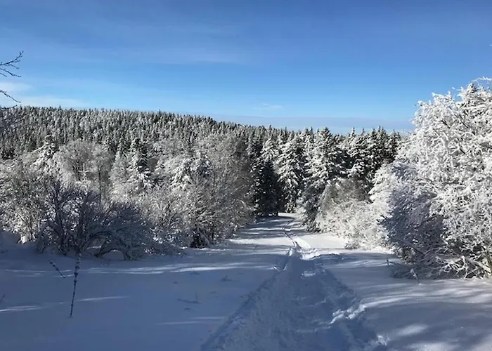 Apartment Mont-dore Centre - T2 Bis Avec Wifi - Fr-1-608-47 *